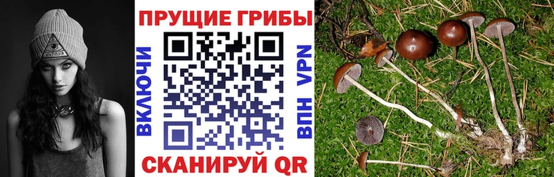 Галлюциногенные грибы ЛСД  Нолинск 